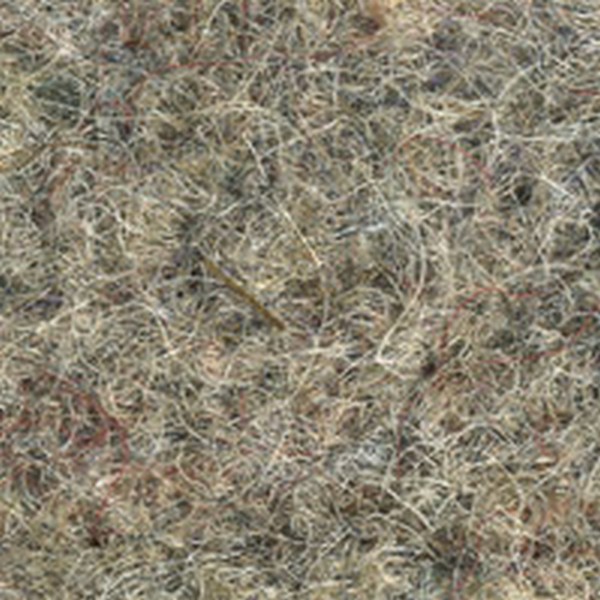 Carpet Pad & Trunk Liner